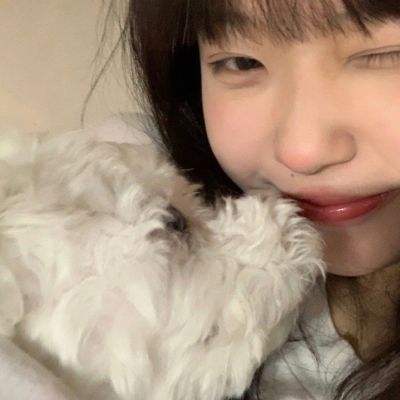 贪玩蓝月传奇甄子丹官方版下载